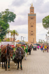 جامع الفنا