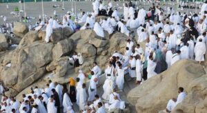 الحجيح على صعيد عرفة