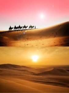 صحراء كوبوكي