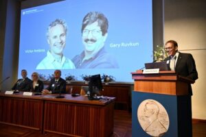 العالمان الأمريكيان، "فيكتور إمبروس" VictorAmbros، و"جارى رفوفكون" Gary Ruvkun ،بجائزة نوبل للطب لعام 2024