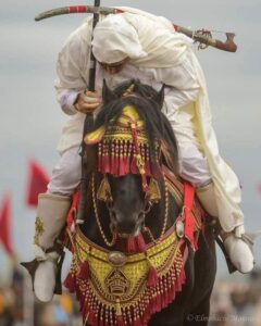 فن التبوريدة