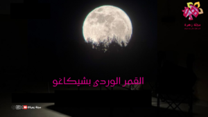 القمر الوردي
