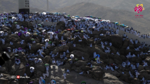 صعيد عرفة