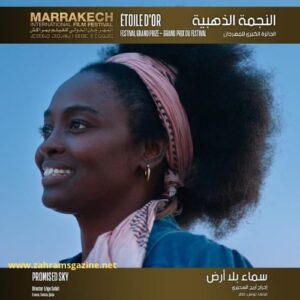 فيلم سماء بلا أرض