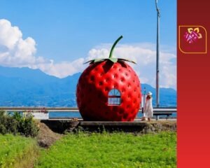 اليابان: قد تنتظر الحافلة... داخل حبة برتقال عملاقة! 🍓🚌